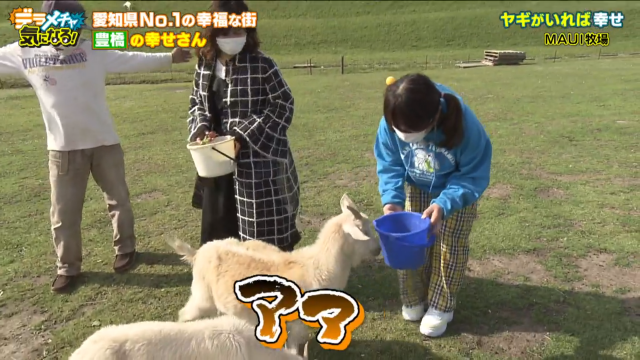 愛知県でイチバン幸せの街 豊橋の幸せさん 前編 デラメチャ気になる おでかけ Locipo Press