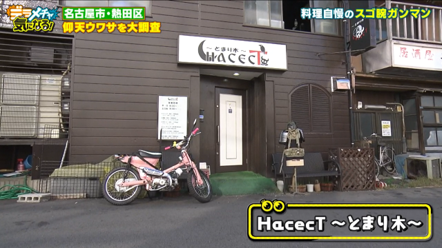 HacecT ～止まり木～