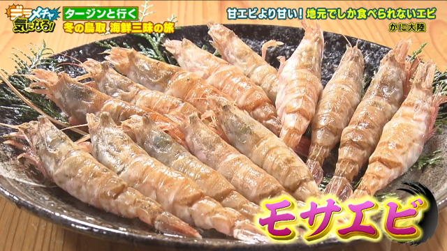 モサエビ