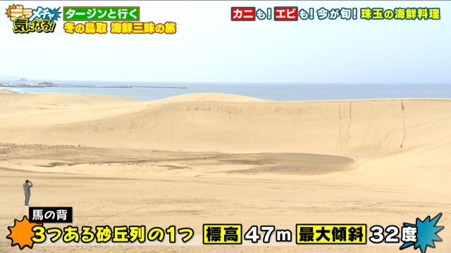 3つある砂丘列1つ　標高47ｍ　最大傾斜32度