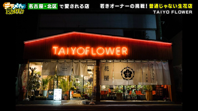 TAIYO FLOWER
