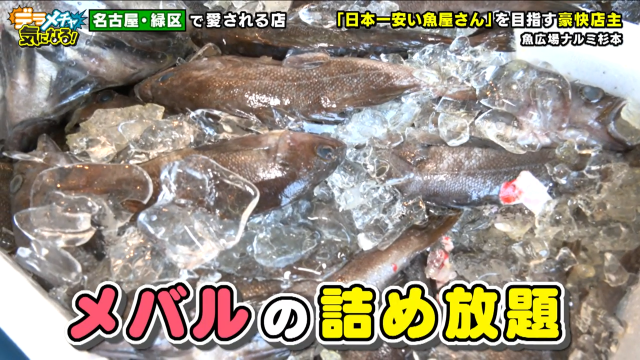 メバル詰め放題