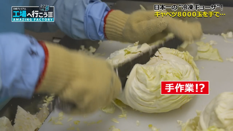 キャベツ