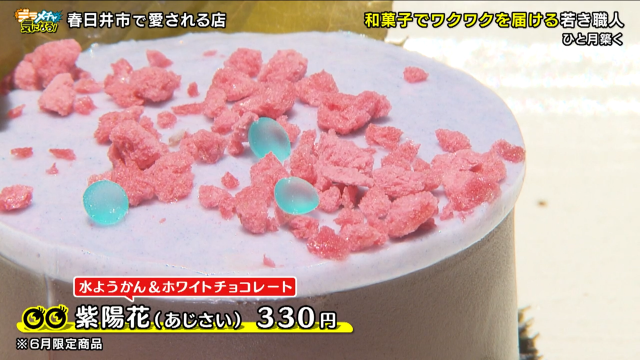 アジサイ