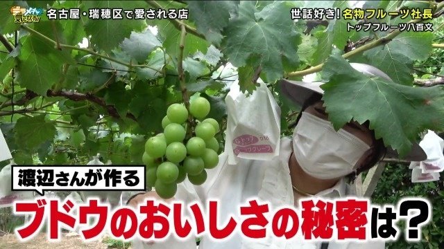 ブドウのおいしさの秘密は？