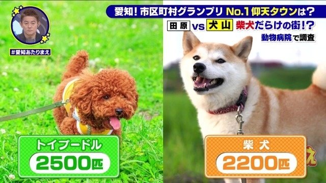 2い