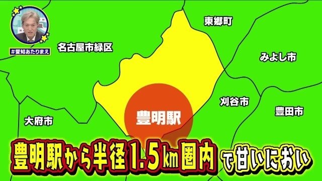 豊明市