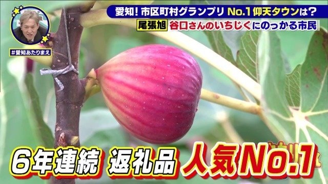 人気ナンバーワン