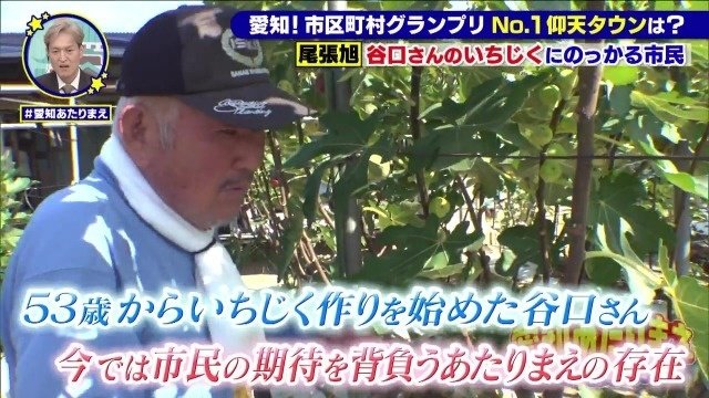 53歳から