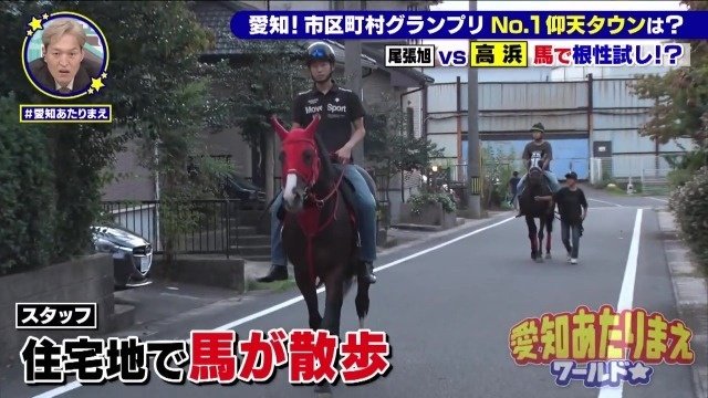 馬が散歩