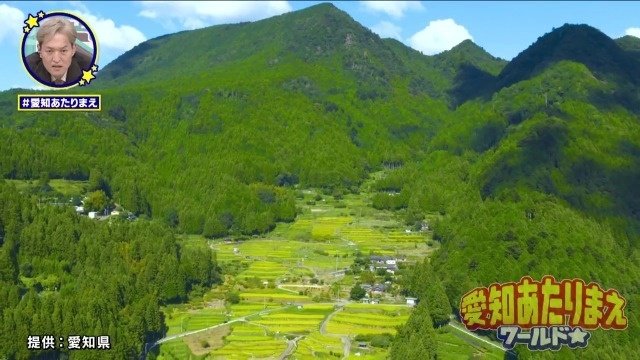四谷の千枚田