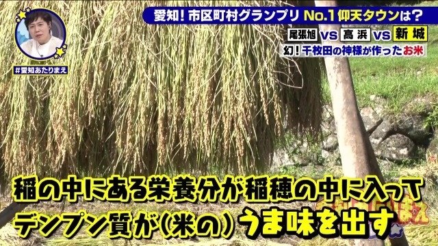 はさかけ