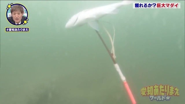 、モリを突けるのは一発限り