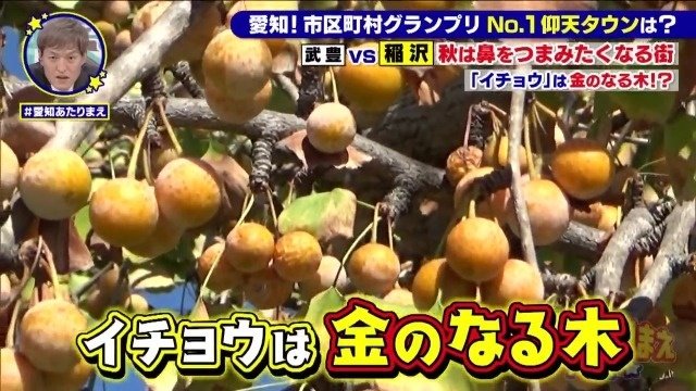 金のなる木