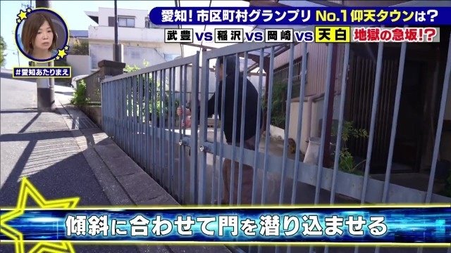 傾斜に合わせて門