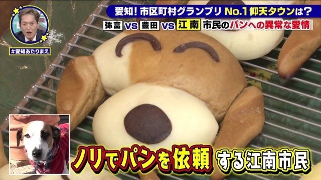 犬のパン
