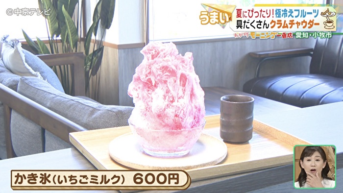 かき氷の写真