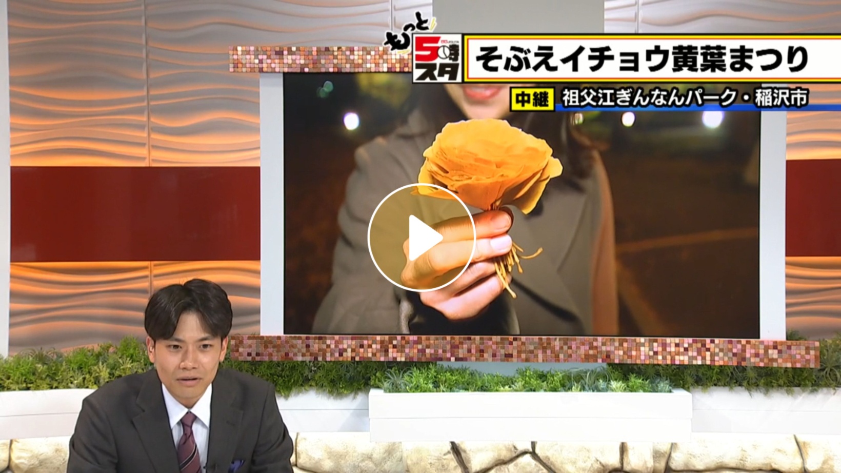 Locipoで動画を見る