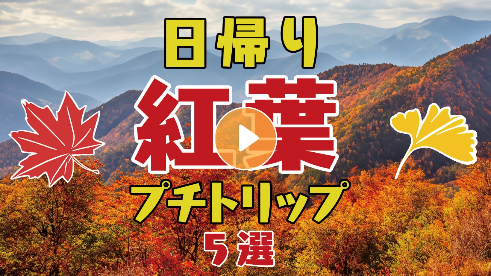 Locipoで動画を見る