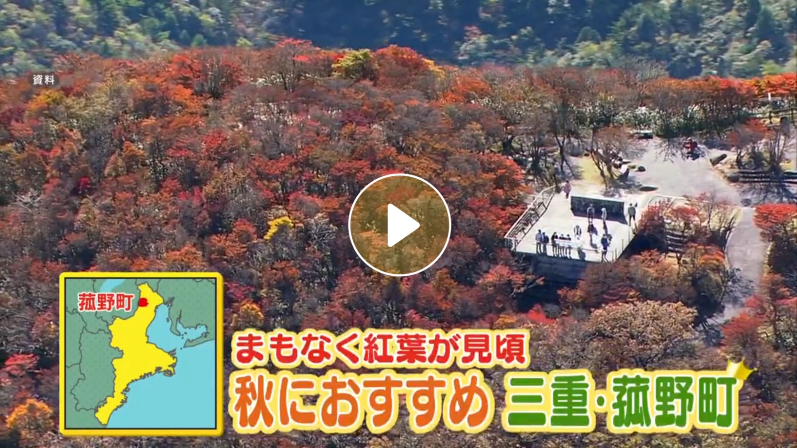 Locipoで動画を見る