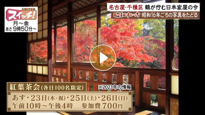 Locipoで動画を見る