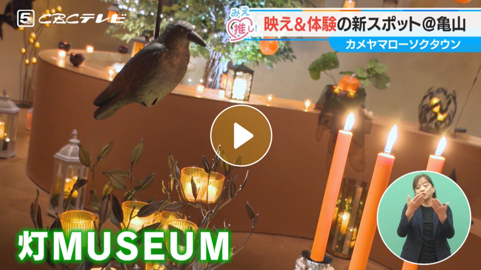 Locipoで動画を見る