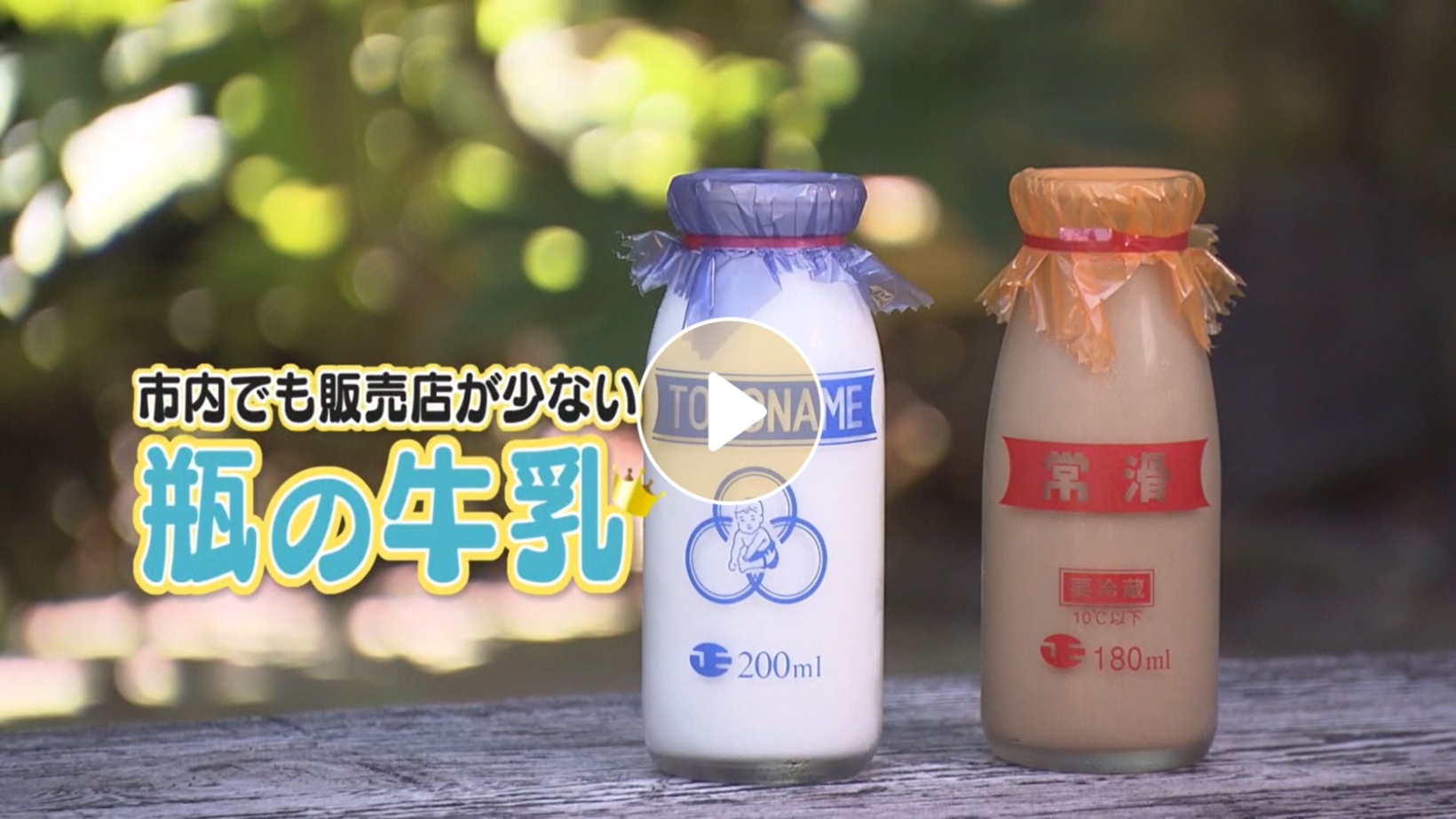 Locipoで動画を見る