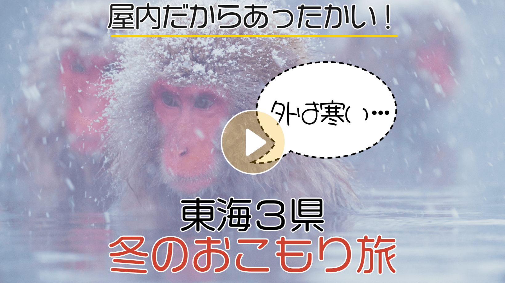 Locipoで動画を見る