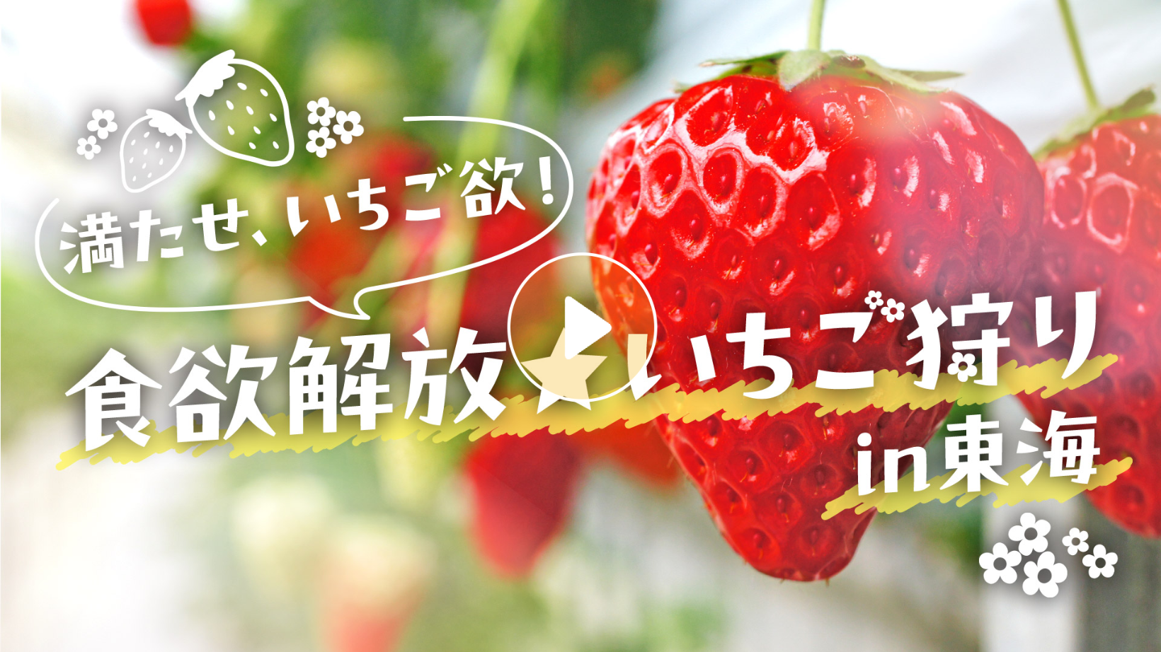 Locipoで動画を見る