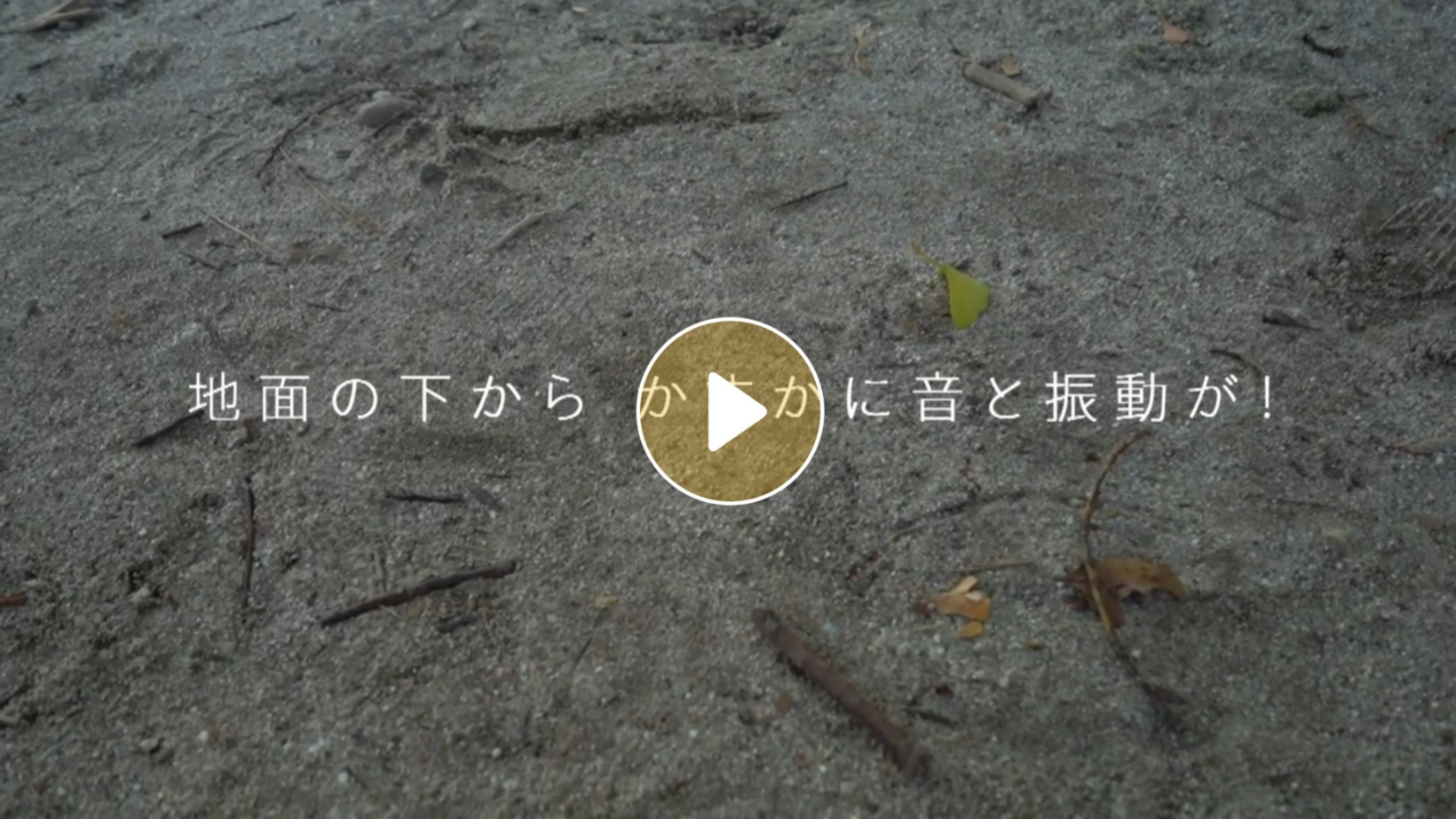 Locipoで動画を見る