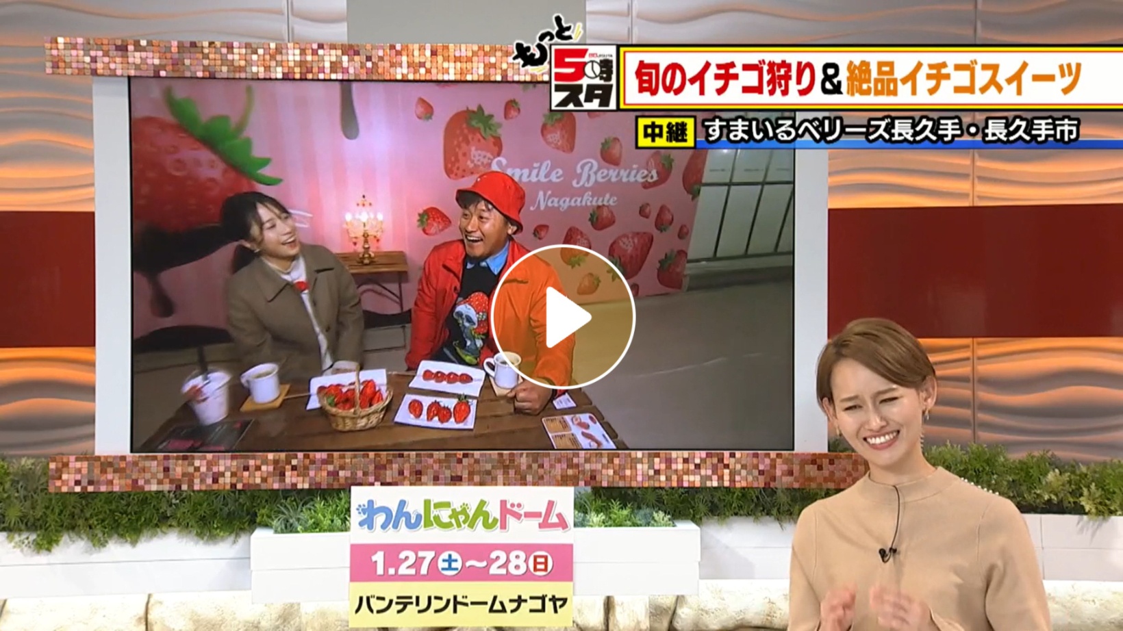 Locipoで動画を見る