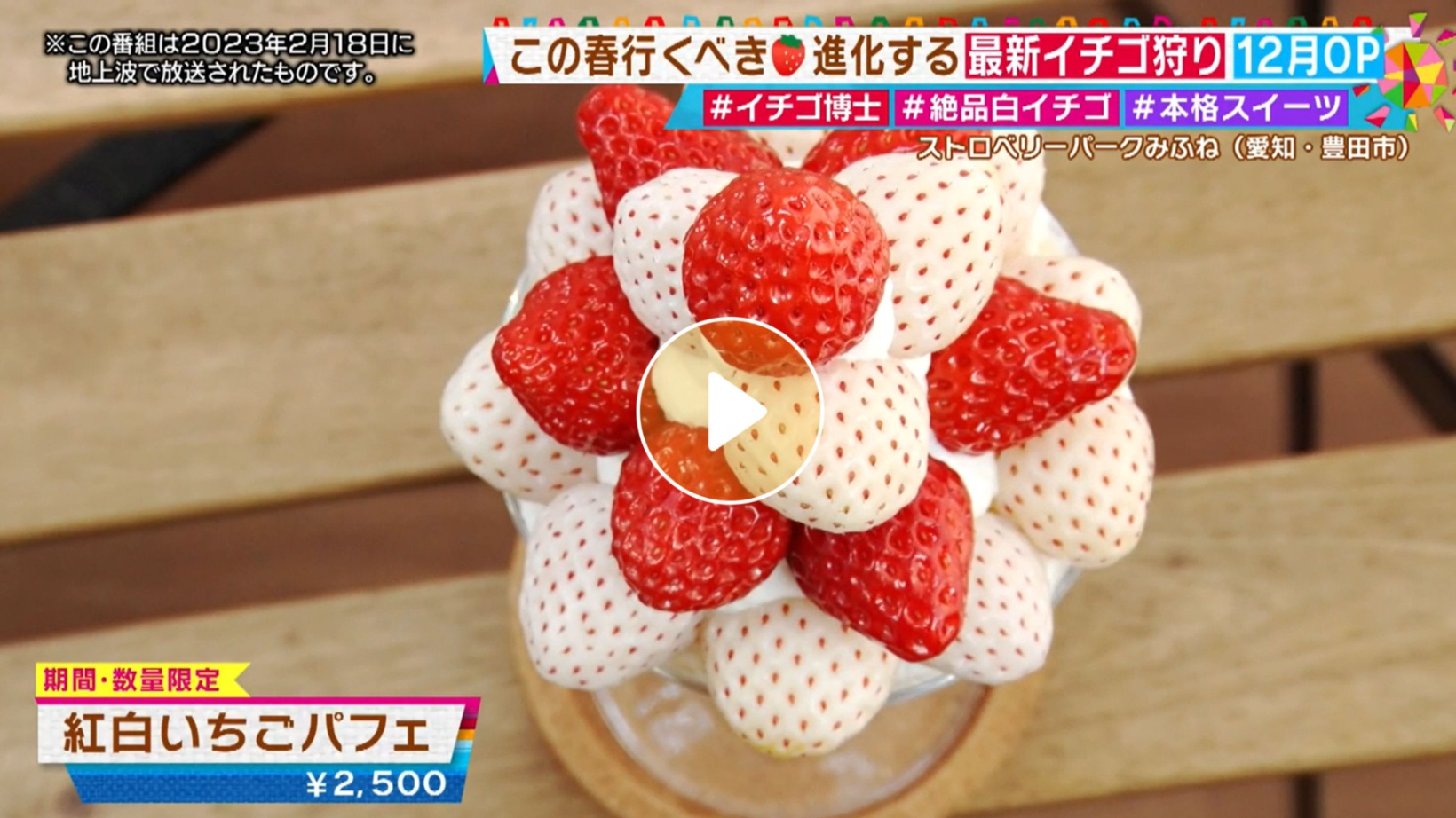 Locipoで動画を見る