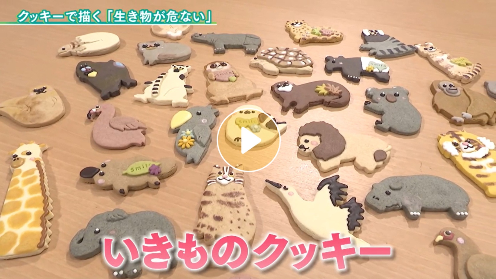Locipoで動画を見る