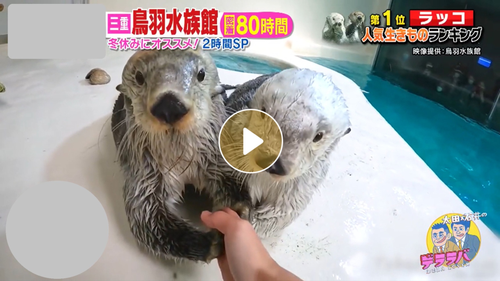 Locipoで動画を見る