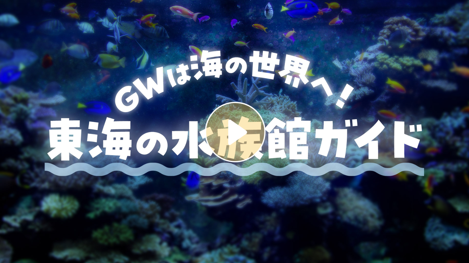 Locipoで動画を見る