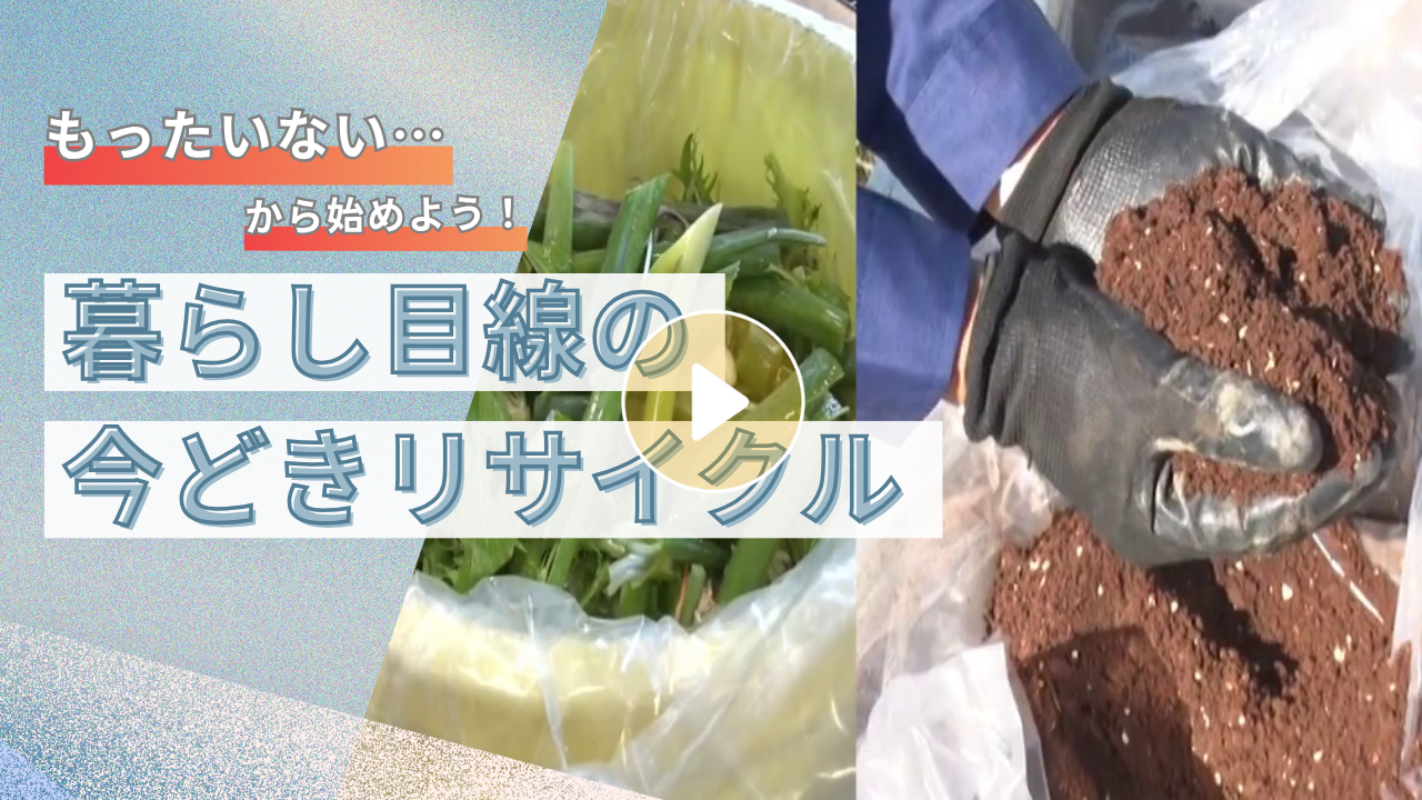 Locipoで動画を見る