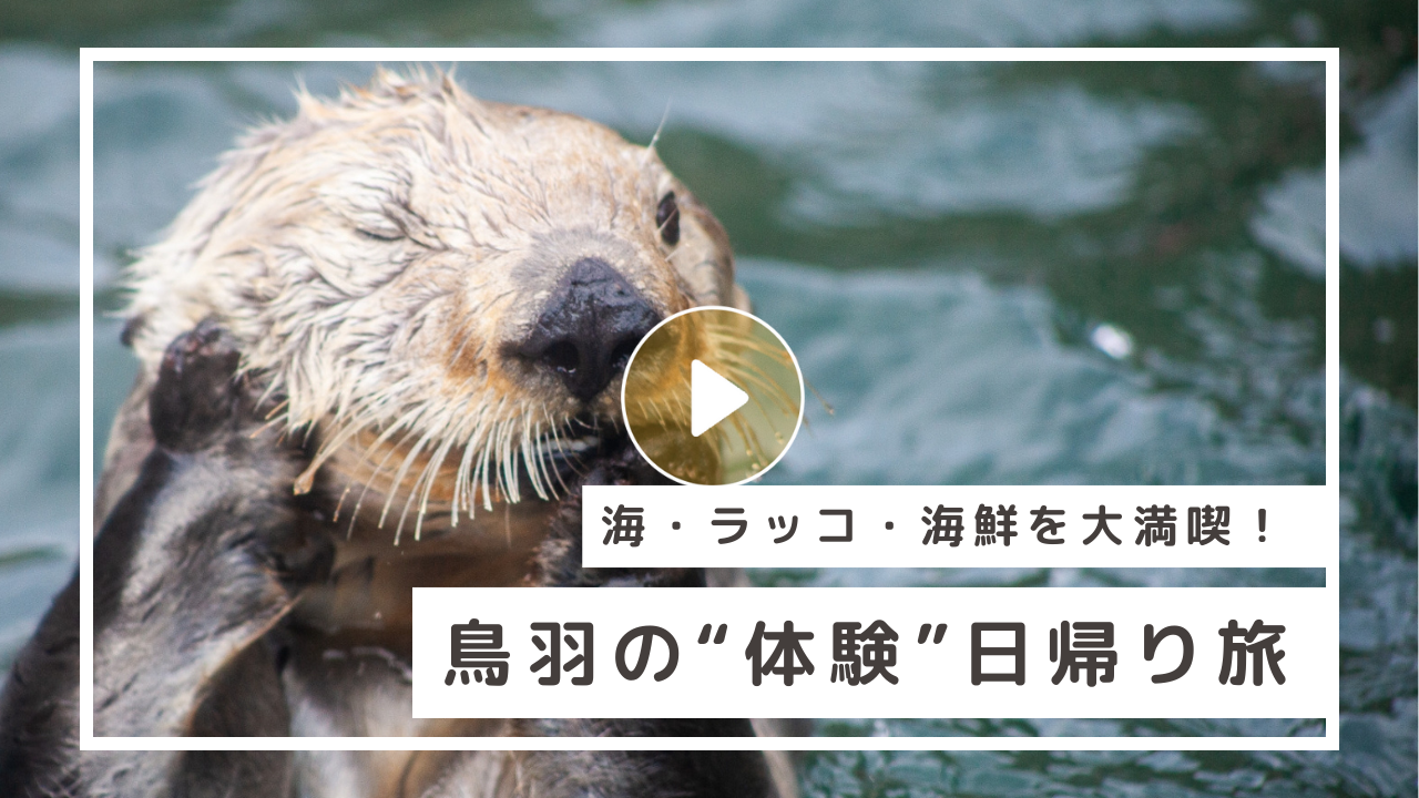 Locipoで動画を見る