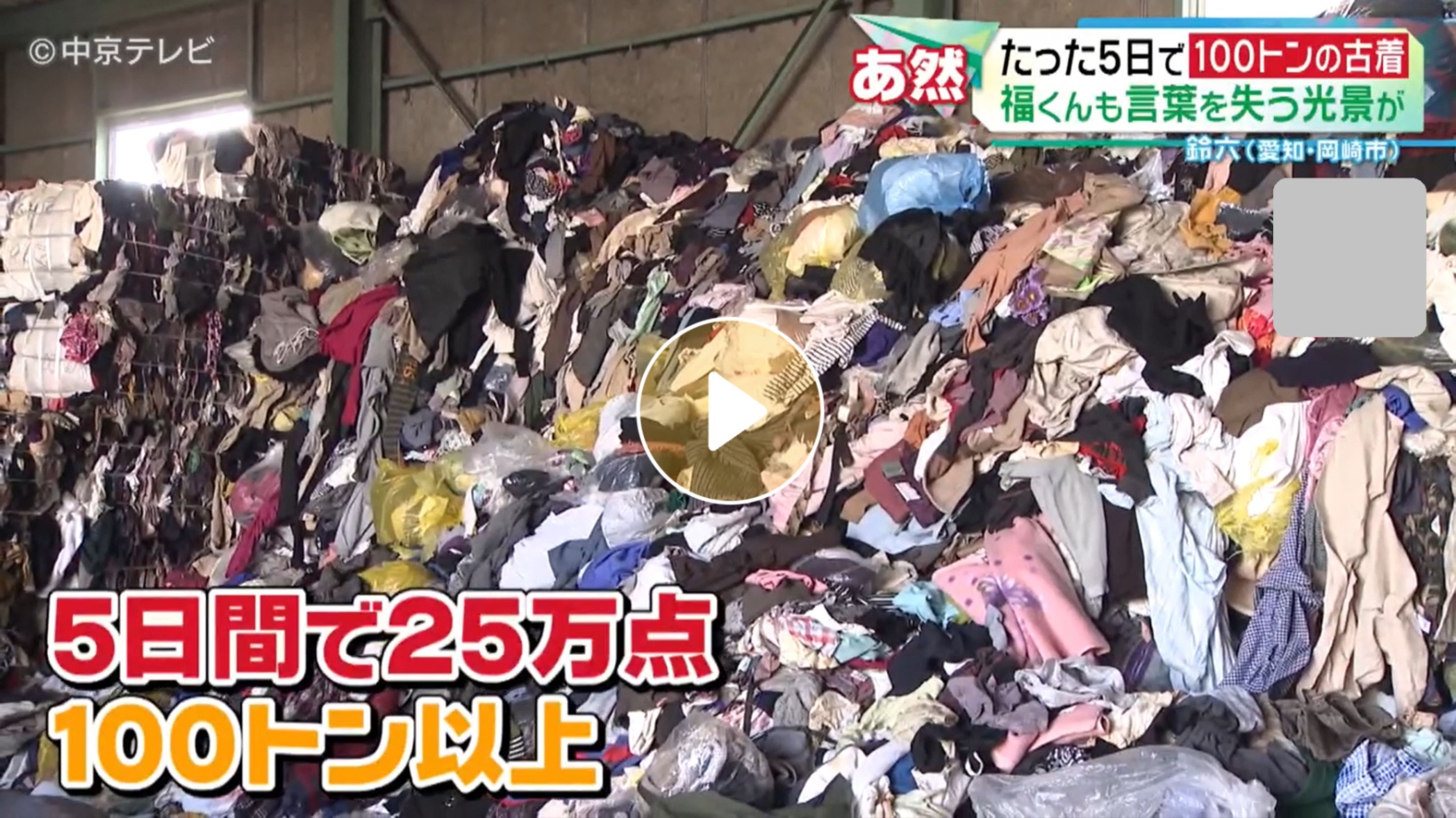 Locipoで動画を見る