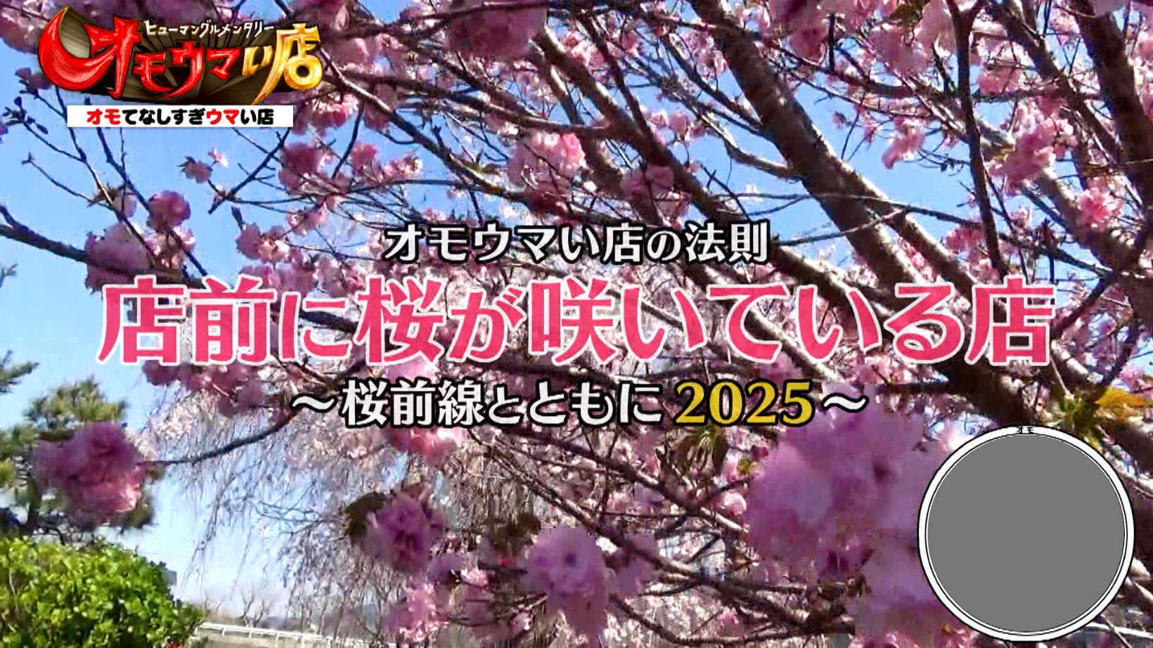 Locipoで動画を見る