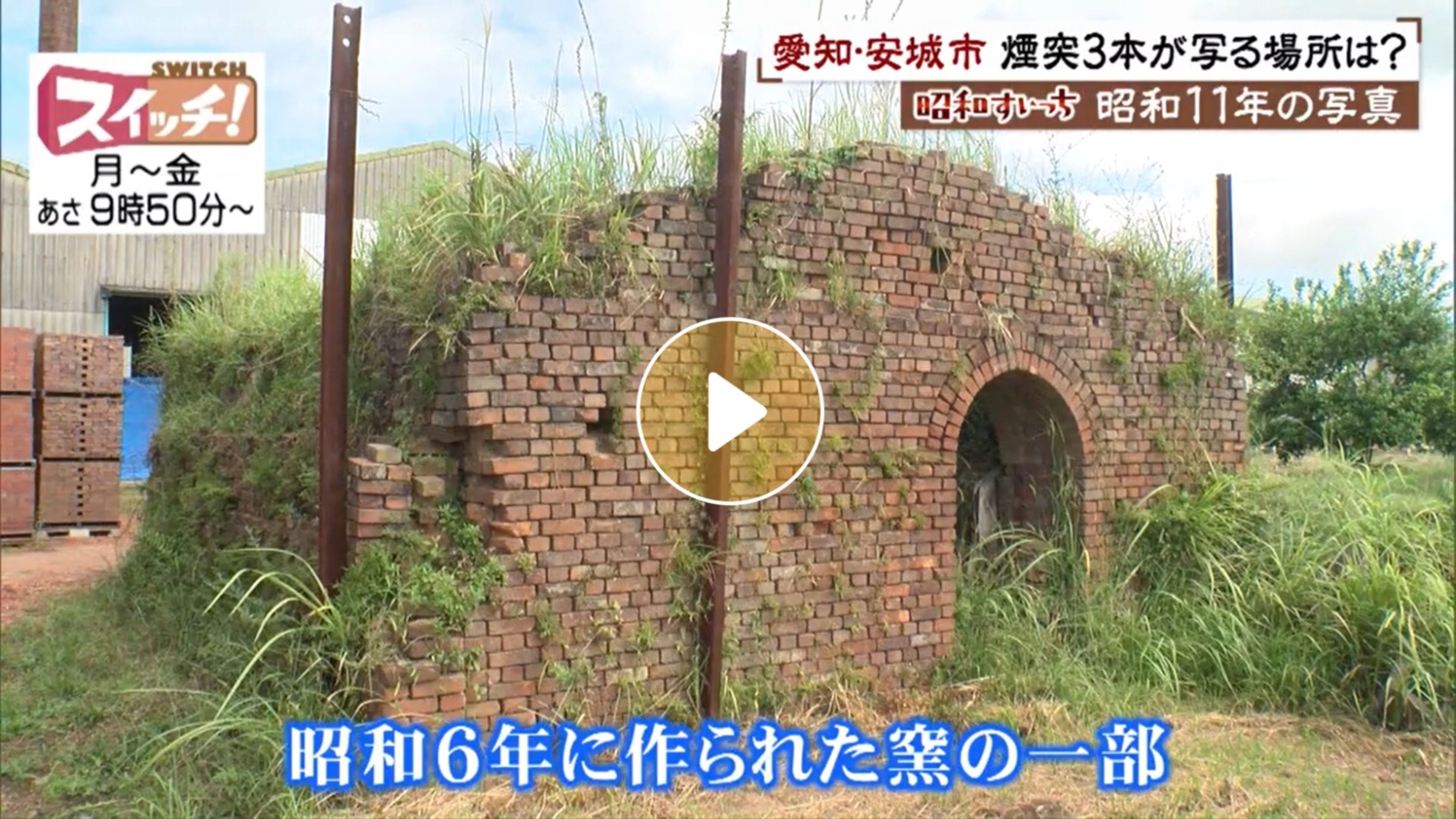 Locipoで動画を見る