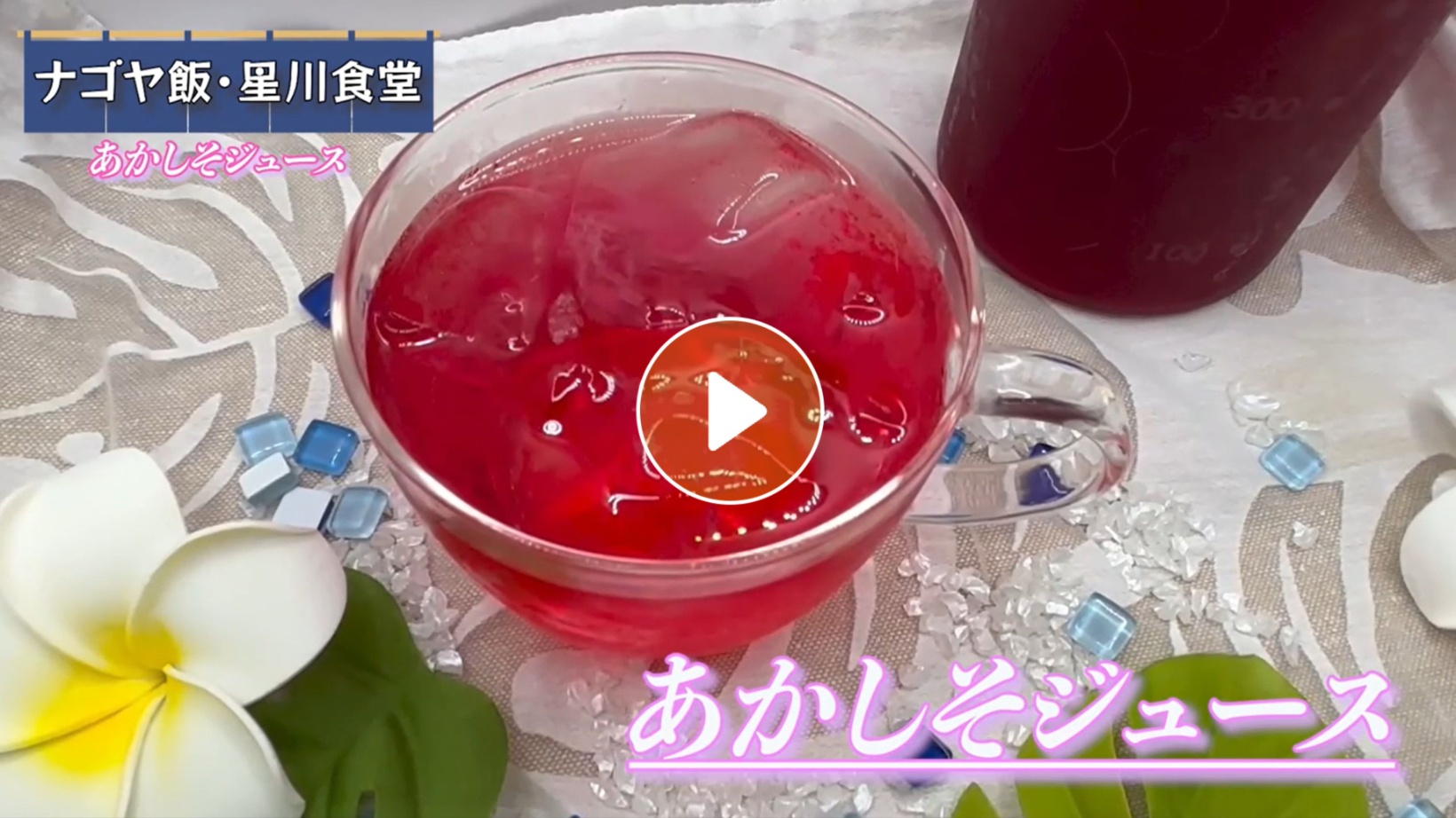 Locipoで動画を見る