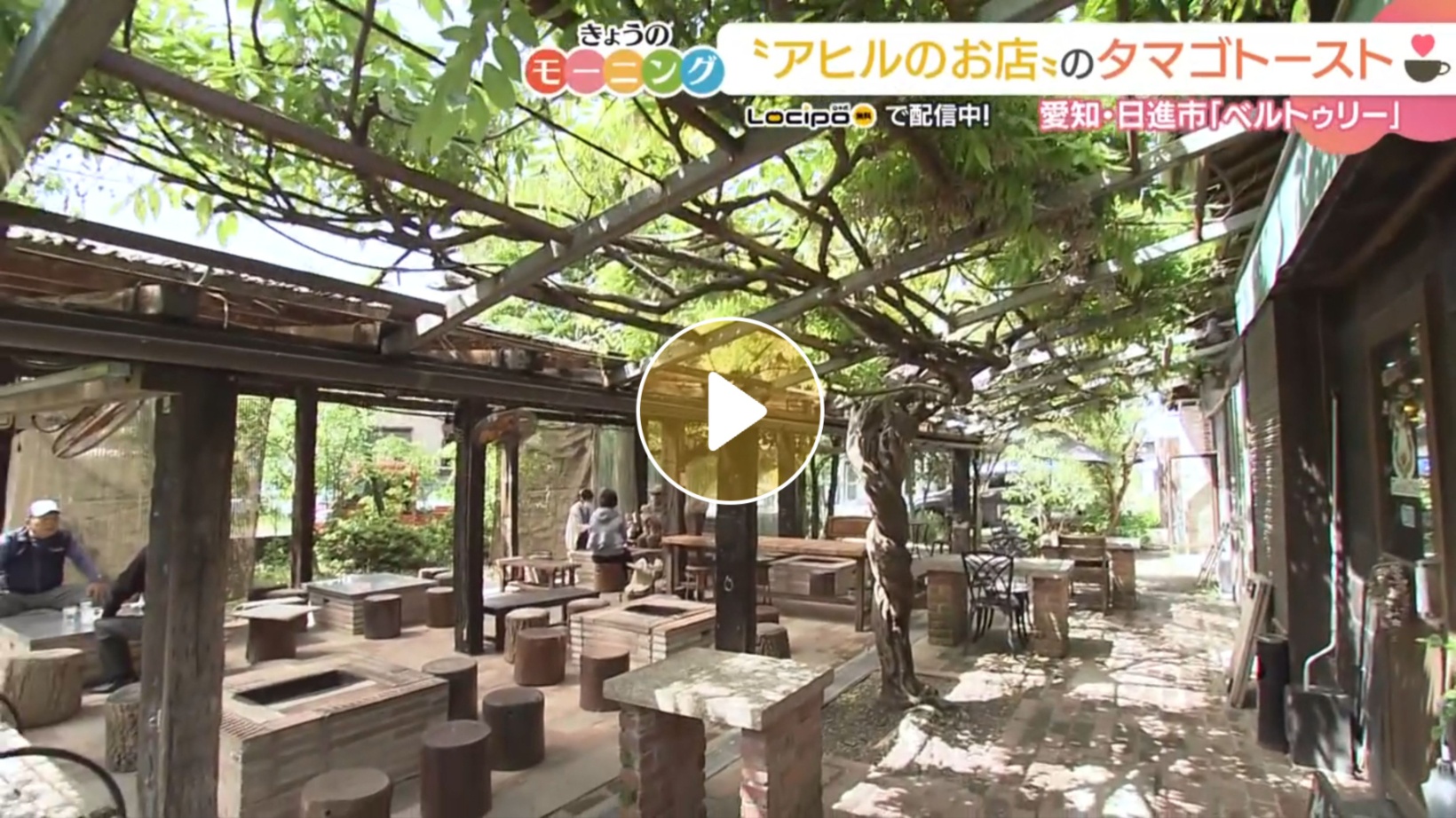 Locipoで動画を見る
