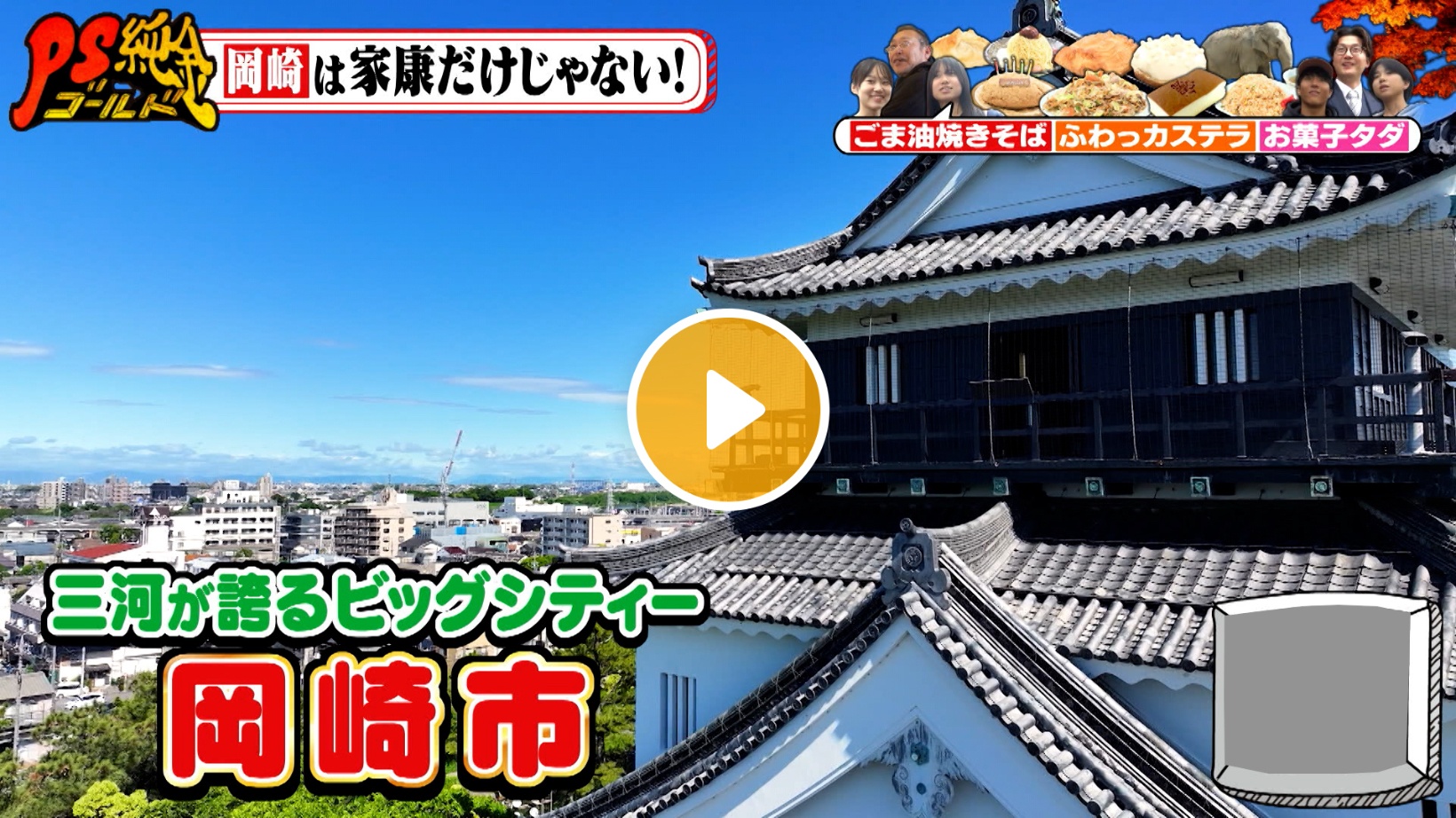 Locipoで動画を見る