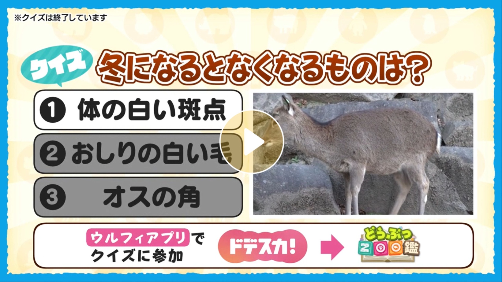 Locipoで動画を見る